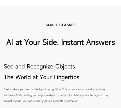 AI Smart Glasses with HD Shooting, Recording & Live Translation M89S